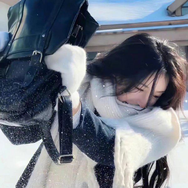 天涯家园海报